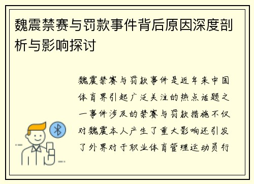 魏震禁赛与罚款事件背后原因深度剖析与影响探讨